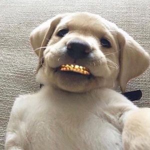 Meet your Posher, Erik